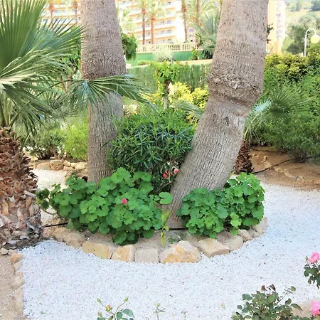 Apartment Atico Levante Torre Montecarlo Benidorm