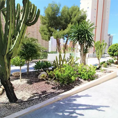 Atico Levante Torre Montecarlo 公寓 *